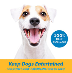 123 Treats beef esophagus chews side view – natural single-ingredient dog snack.