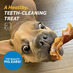 123 Treats pig ears 5lb bag soft-cartilage texture — gentle, safe chewing for sensitive mouths.