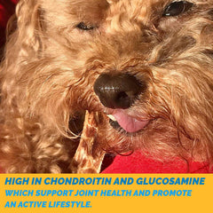 123 Treats single-ingredient chew – pure beef esophagus for dogs.