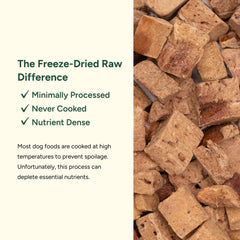 360 Pet Nutrition bison liver pieces close-up highlights natural texture and protein-rich bites