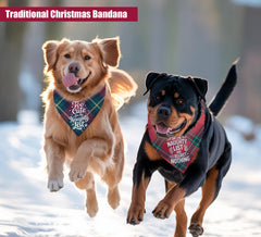 68Win Christmas dog bandanas pack of 2 displayed together for gifting