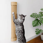 7 Ruby Road wall-mounted sisal scratch pad showing replaceable mat for longer life