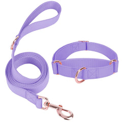AaufiLux Martingale collar set in purple for stylish daily walks.