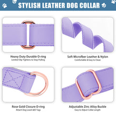 AaufiLux two-loop Martingale collar close-up for safe training control.