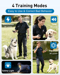 ABBIDOT dual-channel training enables training two dogs efficiently.