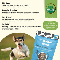 A Better Treat grain-free beef liver reward for dogs with dietary needs