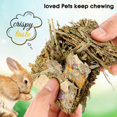 Abizoo snacks para animales pequeños, ideal para juego