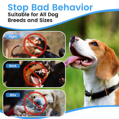ABRKDOG LED flashlight function supports night-time safety and training.