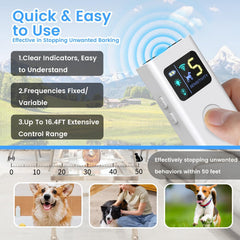 ABRKDOG led light activation demonstrates attention-grabbing cue for training sessions.