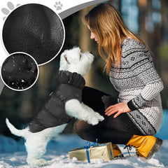 ABRRLO winter warm dog jacket waterproof outer layer on rain scene