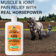 Absorbine liniment gel applied to horse shoulder for warming relief