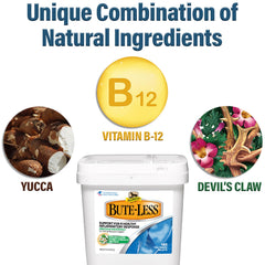 Absorbine Bute-Less vitamin-b12 label detail emphasizes essential nutrients