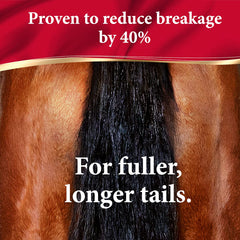 Absorbine ShowSheen instant detangling mane tail in grooming session