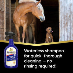 Absorbine ShowSheen Miracle Groom coat after-use reveals brighter color and detangling