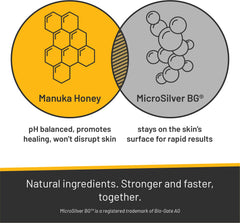 Absorbine Silver Honey ear wipes outer-ear cleaning in use on a pet.