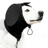 Actaoidesn dog noise-cancelling ear muffs on dog provide protective hearing during fireworks