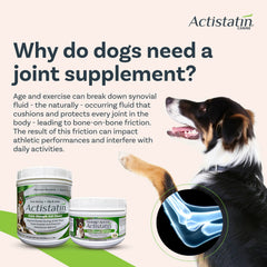 Actistatin Canine Large Dog Soft Chews bottle label noting hyaluronic acid support.