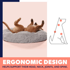 Active Pets 23x23 bed ideal for small dogs in compact spaces