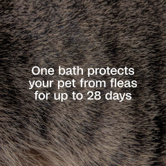 IGR bottle label highlighting up to 28 day flea life cycle protection.