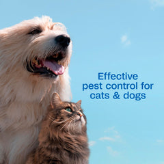 Pet coat after wash looks soft, manageable, and lightly scented with Adams.