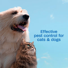 ADAMS Plus Flea & Tick Spray on a cat offers safe, efficient pest control.