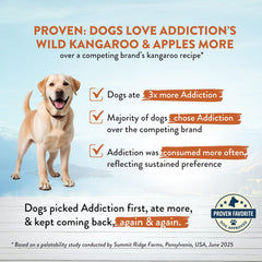 Addiction Wild Kangaroo & Apples kibble being poured into a bowl for easy serving.