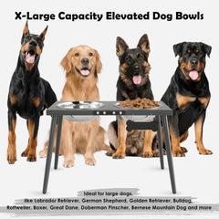 ADENGL elevated dog bowls with 70oz bowls for fewer refills during extended meals