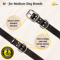 ADITYNA 400 lb pull-test collar demonstrates strength for robust daily adventures.