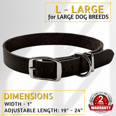 ADITYNA black leather collar on a dog during a walking session.