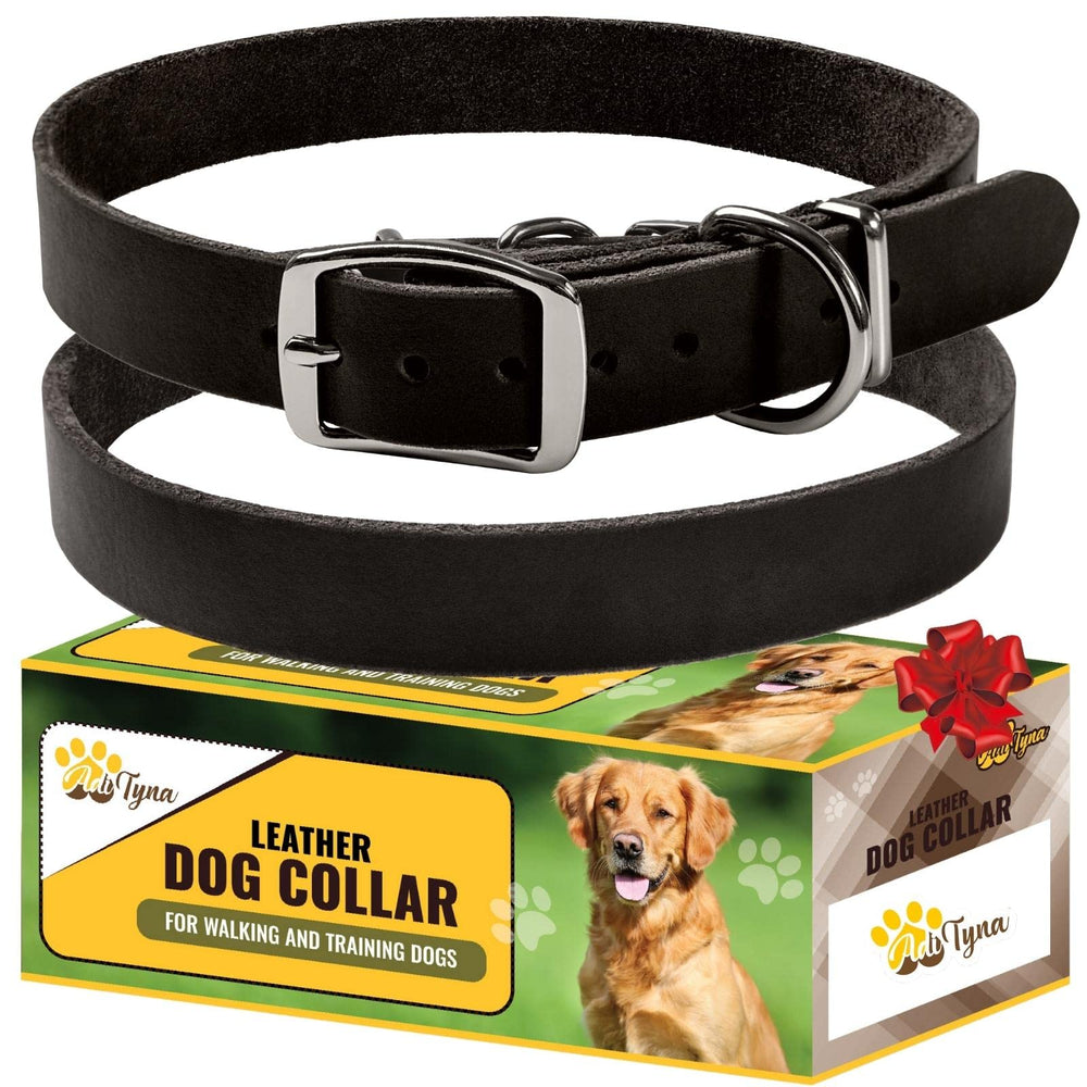 ADITYNA Black XL Leather Dog Collar closeup buckle for secure, durable walks