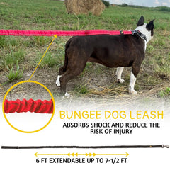 ADITYNA bungee design absorbs tension for smoother runs beside you.