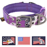 ADITYNA camo purple dog collar with handle on a medium dog for controlled walks