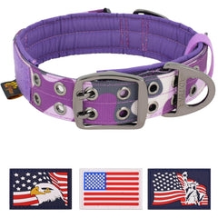 ADITYNA camo purple dog collar with handle on a medium dog for controlled walks