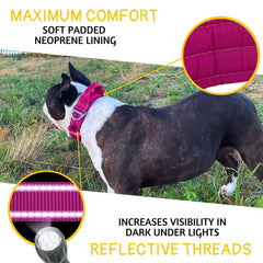 ADITYNA wide 1-5 inch collar showing strong support during activity
