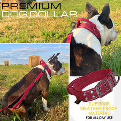 ADITYNA heavy-duty dog collar burgundy reflective stitching for safer night walks.