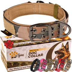ADITYNA heavy-duty dog collar camouflage XL on a large breed for sturdy training.