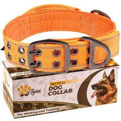 ADITYNA heavy-duty dog collar with handle for confident walking and quick control.