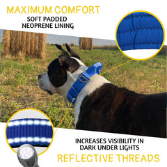ADITYNA neoprene-padding collar delivers soft comfort to prevent chafing.