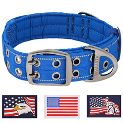 ADITYNA heavy-duty collar with neoprene padding for comfortable walks