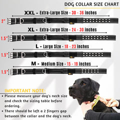 ADITYNA wide 1.5-inch collar demonstrates sturdy nylon webbing and comfort