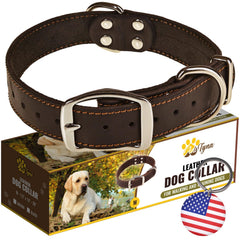 ADITYNA heavy-duty leather collar close-up stitching for durability and comfort.