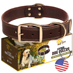 ADITYNA heavy-duty leather dog collar in brown with gold buckle for everyday durable wear