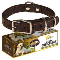 ADITYNA heavy-duty leather collar with secure closed buckle for small dogs