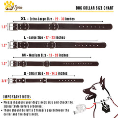 ADITYNA leather dog collar close-up of durable buckle for secure daily wear.