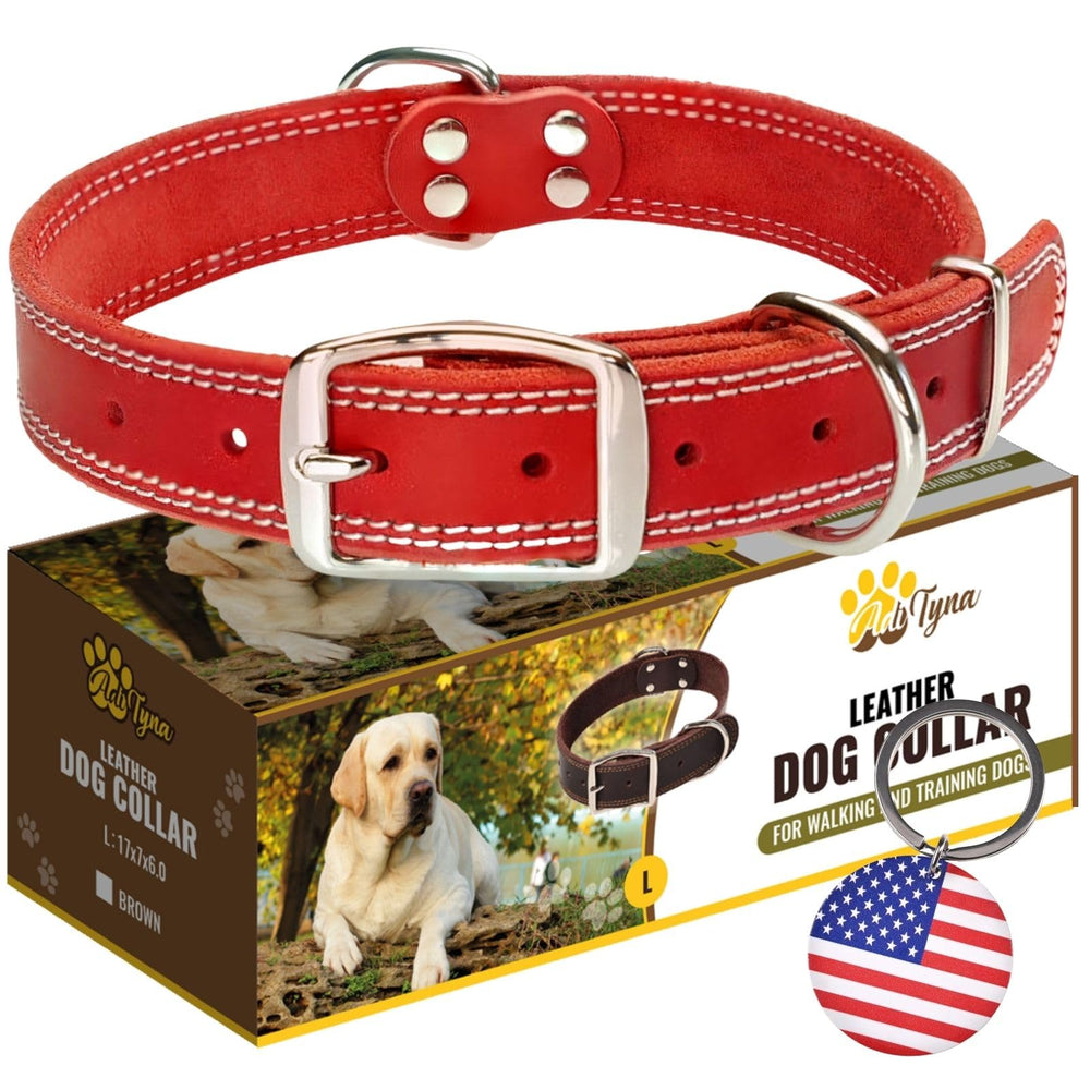 ADITYNA heavy-duty leather dog collar closeup shows durable stitching for long wear.
