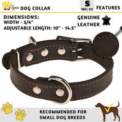ADITYNA collar with two D-rings enables secure leash options