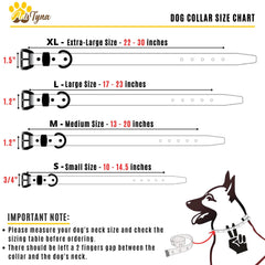 ADITYNA heavy-duty leather dog collar double-buckle detail highlighting durability.