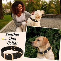 ADITYNA heavy-duty leather dog collar gift box packaging ideal gift presentation