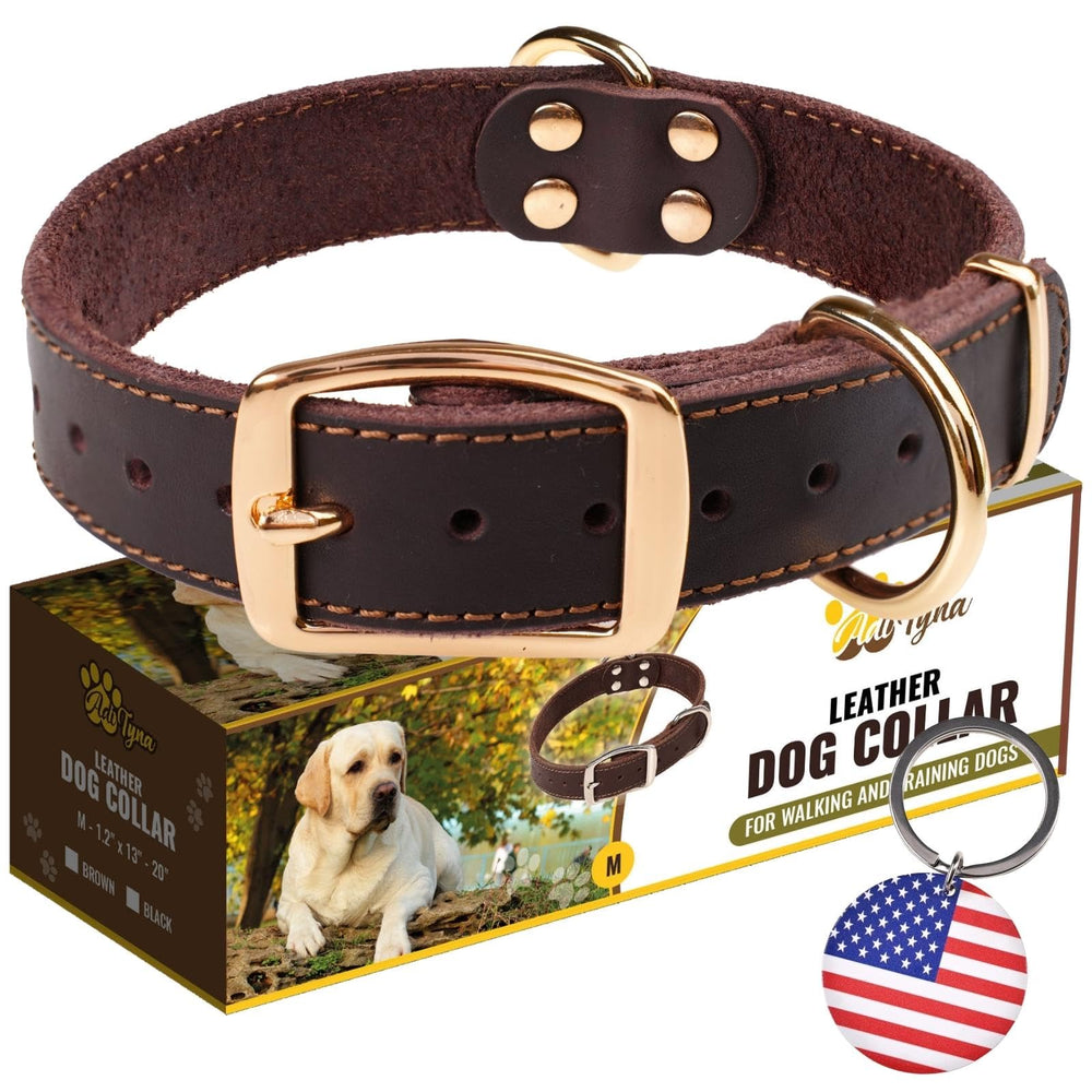 ADITYNA heavy-duty leather dog collar brown buckle closeup for durable daily walks