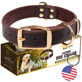 ADITYNA heavy-duty leather dog collar brown buckle closeup for durable daily walks